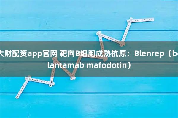 大财配资app官网 靶向B细胞成熟抗原：Blenrep（belantamab mafodotin）